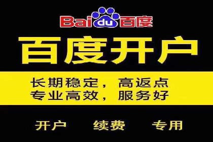 百度竞价广告运营成功案例：如何制定预算